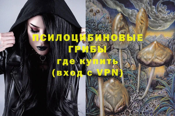 бошки Нязепетровск